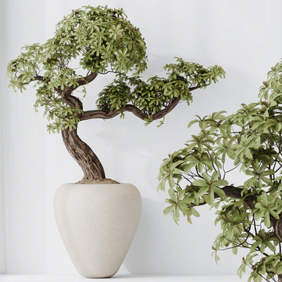 Indoor plant set 23 — Ver 6