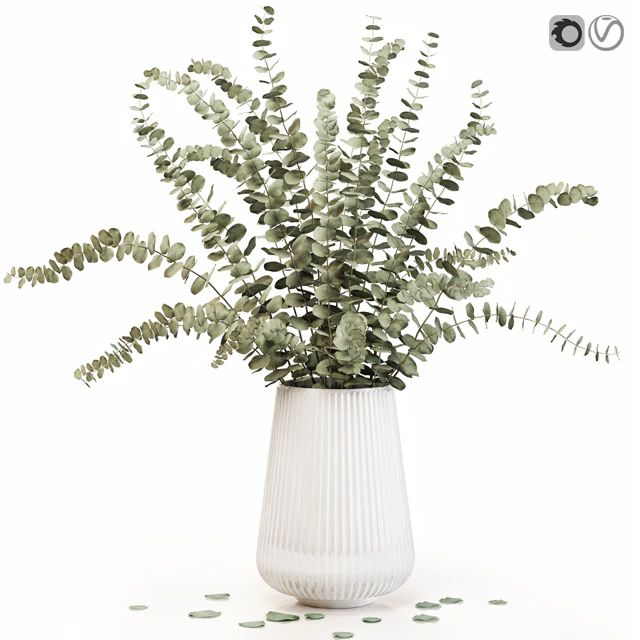 Eucalyptus 3 — Download