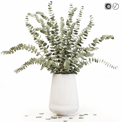 Eucalyptus 3 — View 1