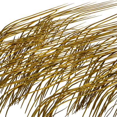 Трава в воде. Водоросли. Цицания водная. Водяная трава. — Вид 4