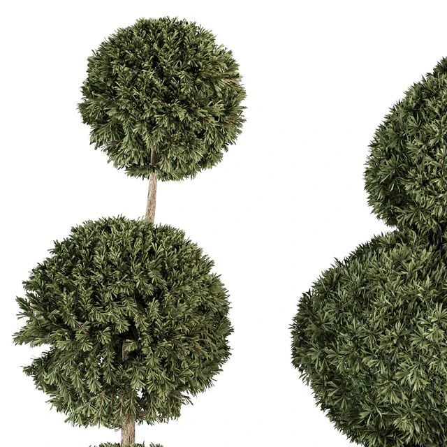 Topiary shape Bush - Bush Set 65 — Скачать