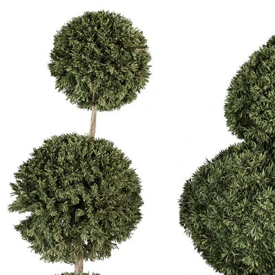 Topiary shape Bush - Bush Set 65 — Вид 5