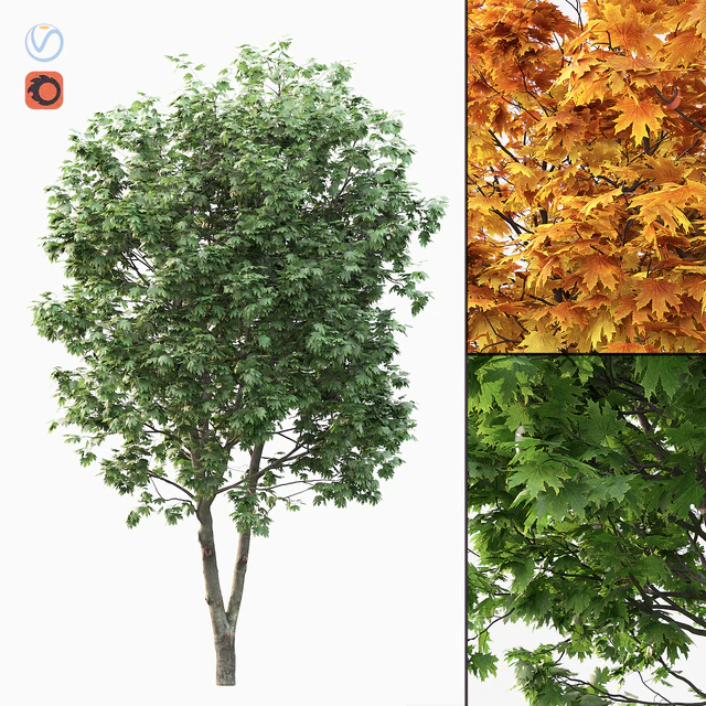 Acer — Скачать