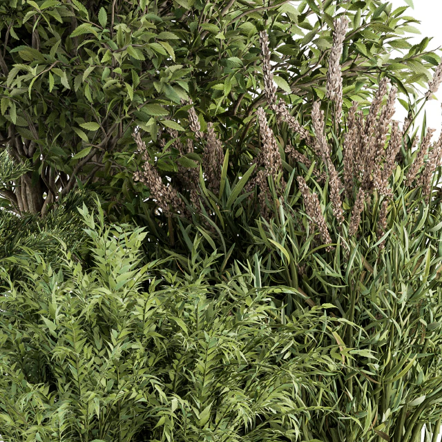 Mixed Plant Bush - Bush Set 37 — Скачать