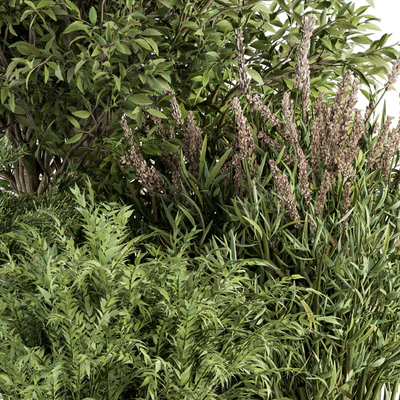 Mixed Plant Bush - Bush Set 37 — Вид 5