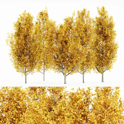 Cypress Oak Fall 5 tree — Ver 1