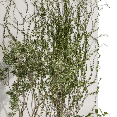 Vertical Garden Outdoor - Wall Decor 41 — Ver 5