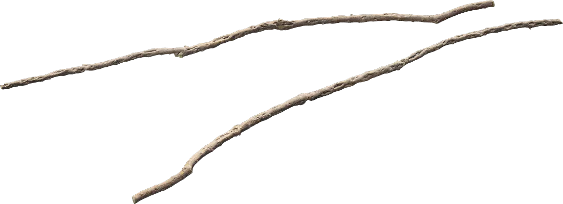 desert western bush branch dead 001 — Скачать