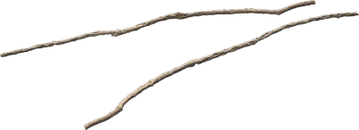 desert western bush branch dead 001 — Скачать