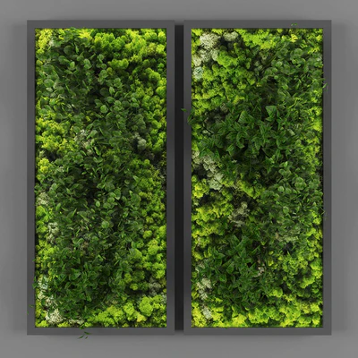 Vertical garden 062 — Ver 1