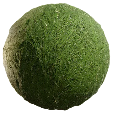 pine foliage 002 — Скачать