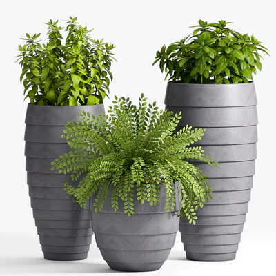 Plant Set -25 — Ver 1