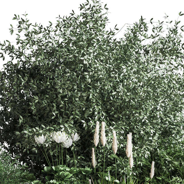 Bush04 — Скачать