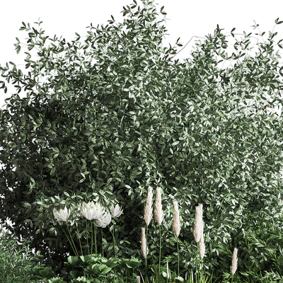 Bush04 — Вид 6