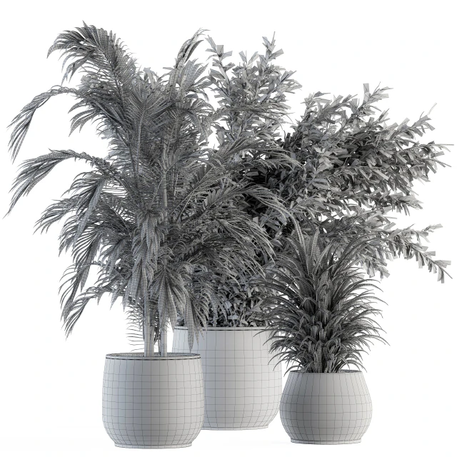indoor Plant Set 112 - Tropical Plants — Descargar