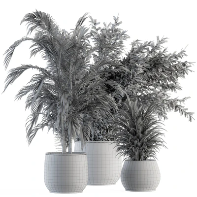 indoor Plant Set 112 - Tropical Plants — Ver 4