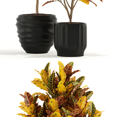 Plants collection 120 — Вид 3