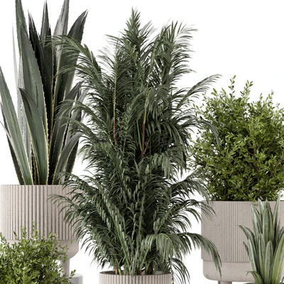 Indoor Plants in Standing Legs Small Bowl Concrete Pot - Set 788 — Ver 6