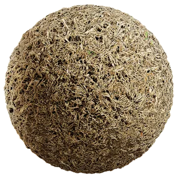 grass dried 042 — Descargar