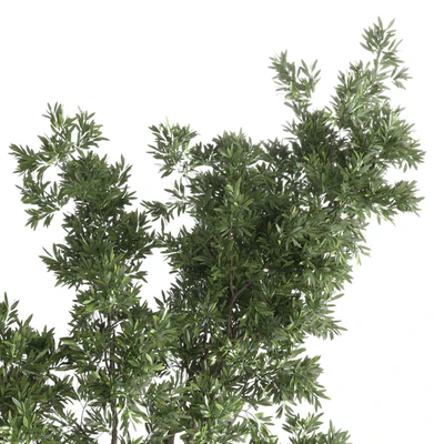 Indoor plant 176 wooden vase plant tree pot — Ver 7