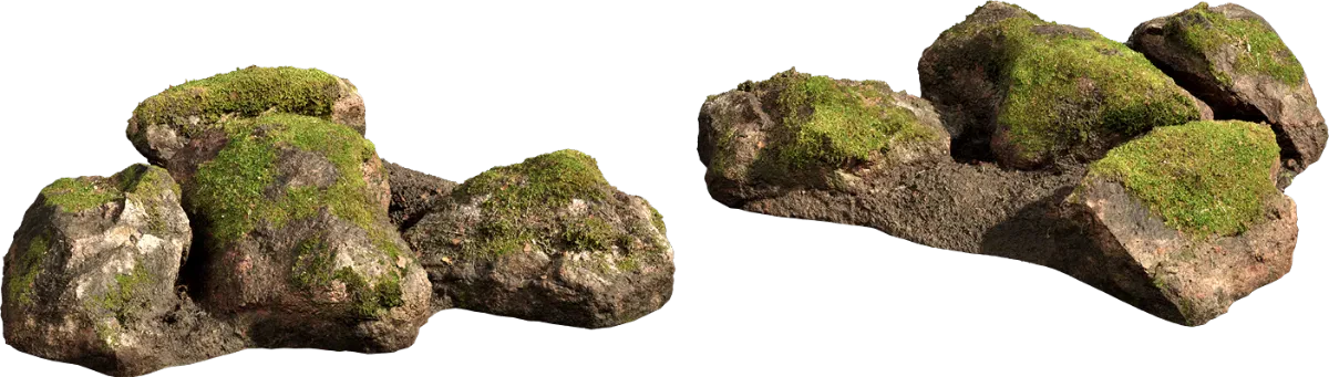 nordic forest cluster rock small 001 — Скачать