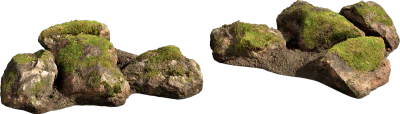 nordic forest cluster rock small 001 — Скачать