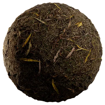 dried leaves 017 — Скачать