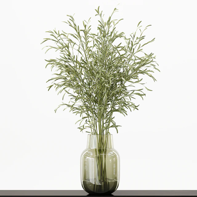 Collection Indoor Plants 016 — Descargar