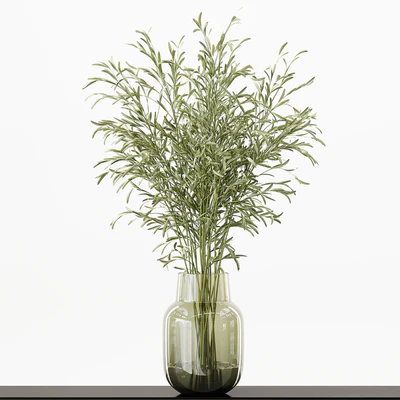 Collection Indoor Plants 016 — Ver 7