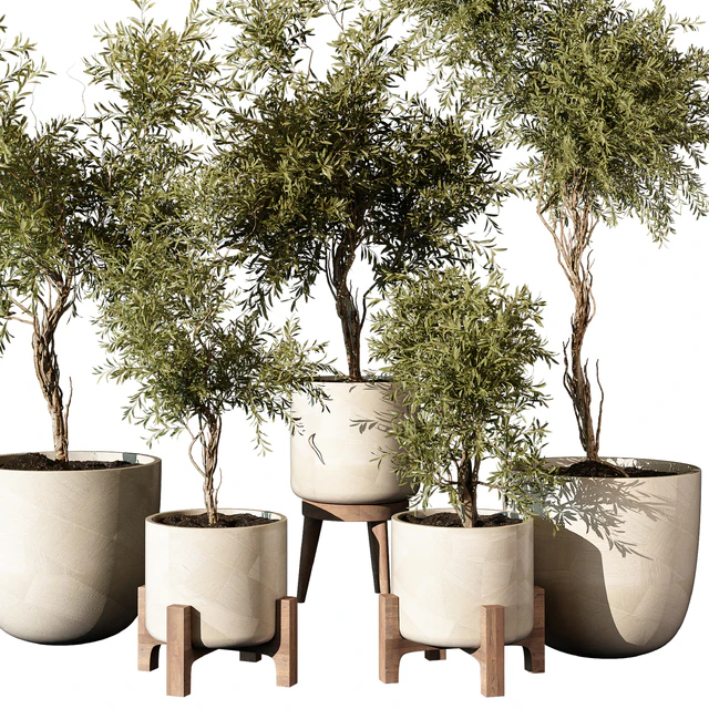 indoor Plant 520 — Скачать