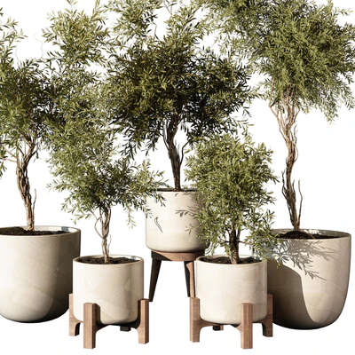 indoor Plant 520 — Вид 3