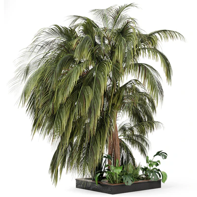 Outdoor Garden set bush and Tree - Garden Set 126 — Вид 7
