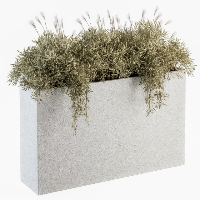 Outdoor Plants in Concrete Plant Box - Set 165 — Descargar