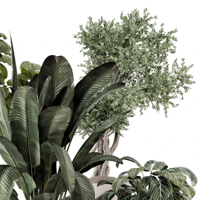 Indoor Plants in rusty Concrete Pot - Set 1286 — View 7