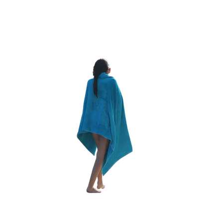 2720 — Скачать