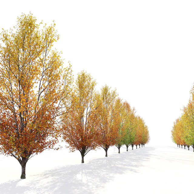 Autumn pear tree 02 — Descargar