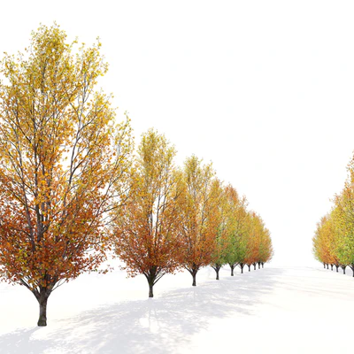 Autumn pear tree 02 — Ver 6
