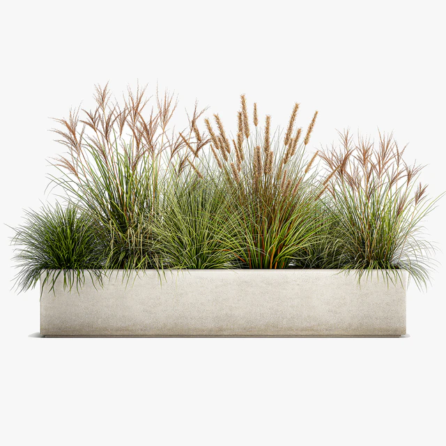 Collection of plants in a pot Pampas grass, reeds, flowerbed, landscaping, bushes. Set 1074. — Descargar