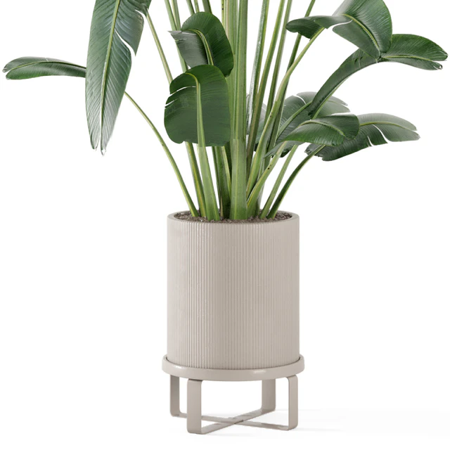 Indoor Plants in Ferm Living Bau Pot Large - Set 173 — Скачать