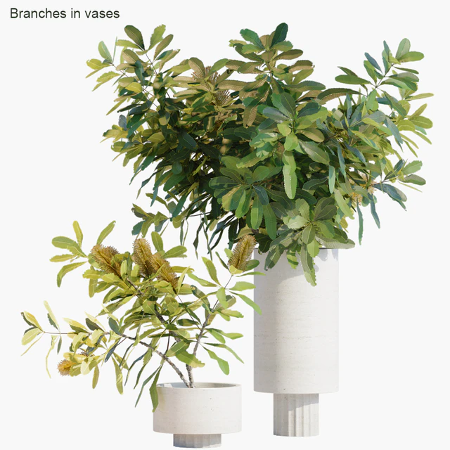Branches in vases 29 — Скачать