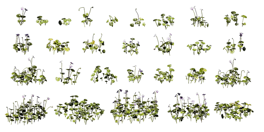 native violet 001 — Скачать