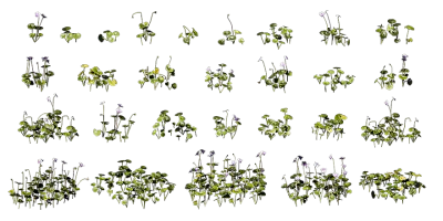 native violet 001 — Скачать