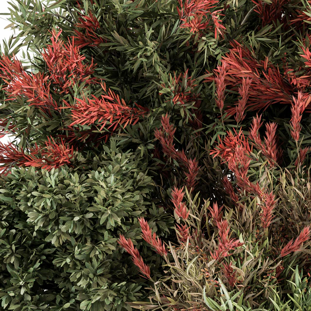 Mixed Plant Bush Green and Red - Bush Set 51 — Скачать