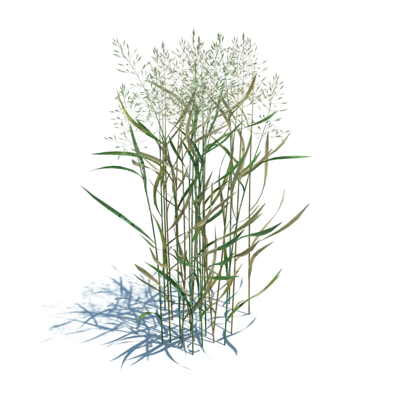 054 — Download