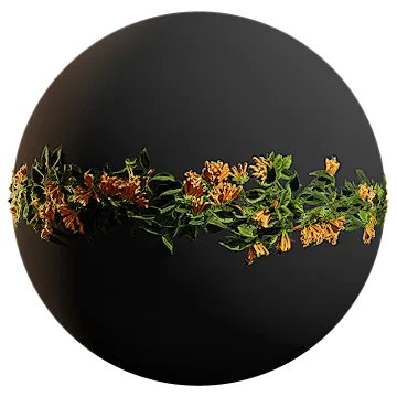 honeysuckle 003 — Скачать