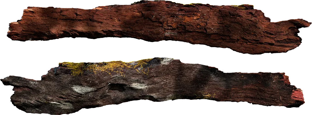 tree log 001 — Descargar