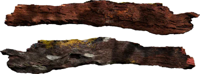 tree log 001 — Descargar