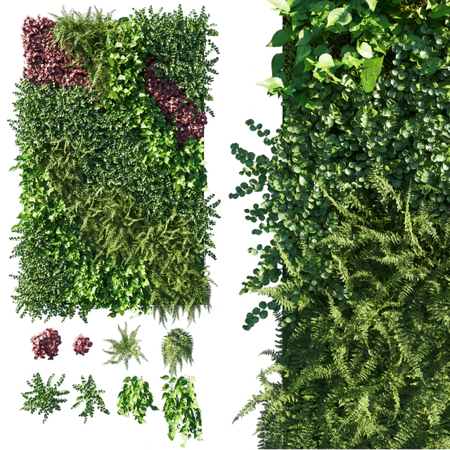Vertical Garden Green Wall 09 — Скачать
