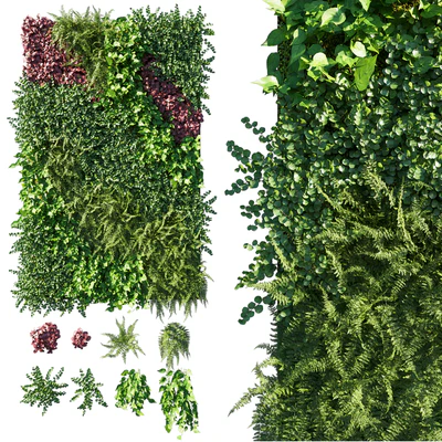 Vertical Garden Green Wall 09 — Вид 1