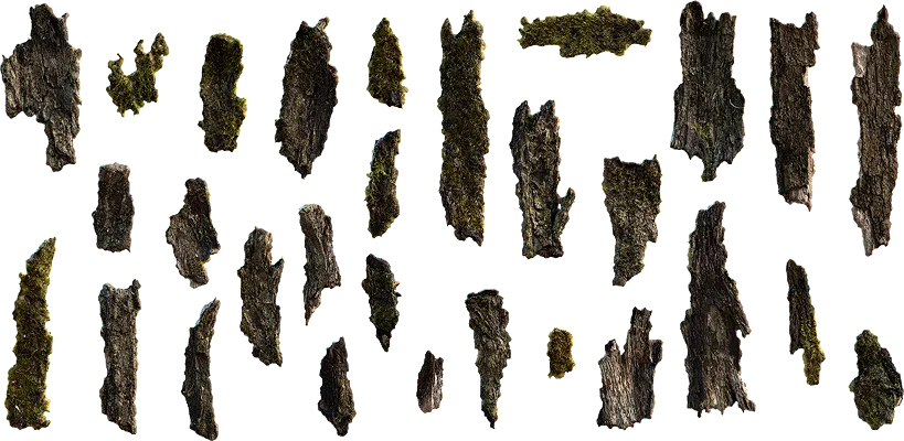 mossy bark 001 — Descargar